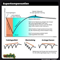 Superkompensation Übertraining Belastung Regeneration